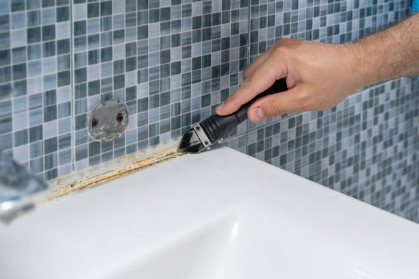 Best Mold Remediation  in Apollo, PA